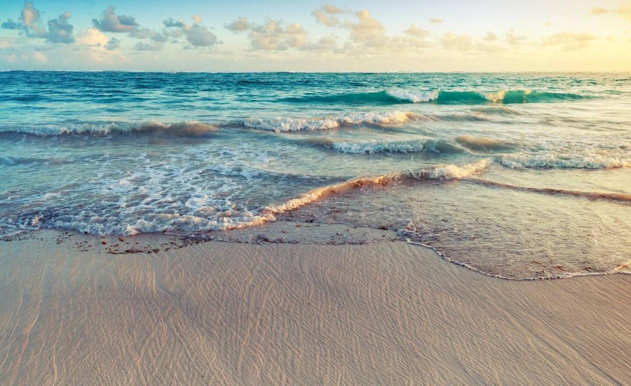 Playa Palmera Beach Resort ปุนตากานา ภายนอก รูปภาพ