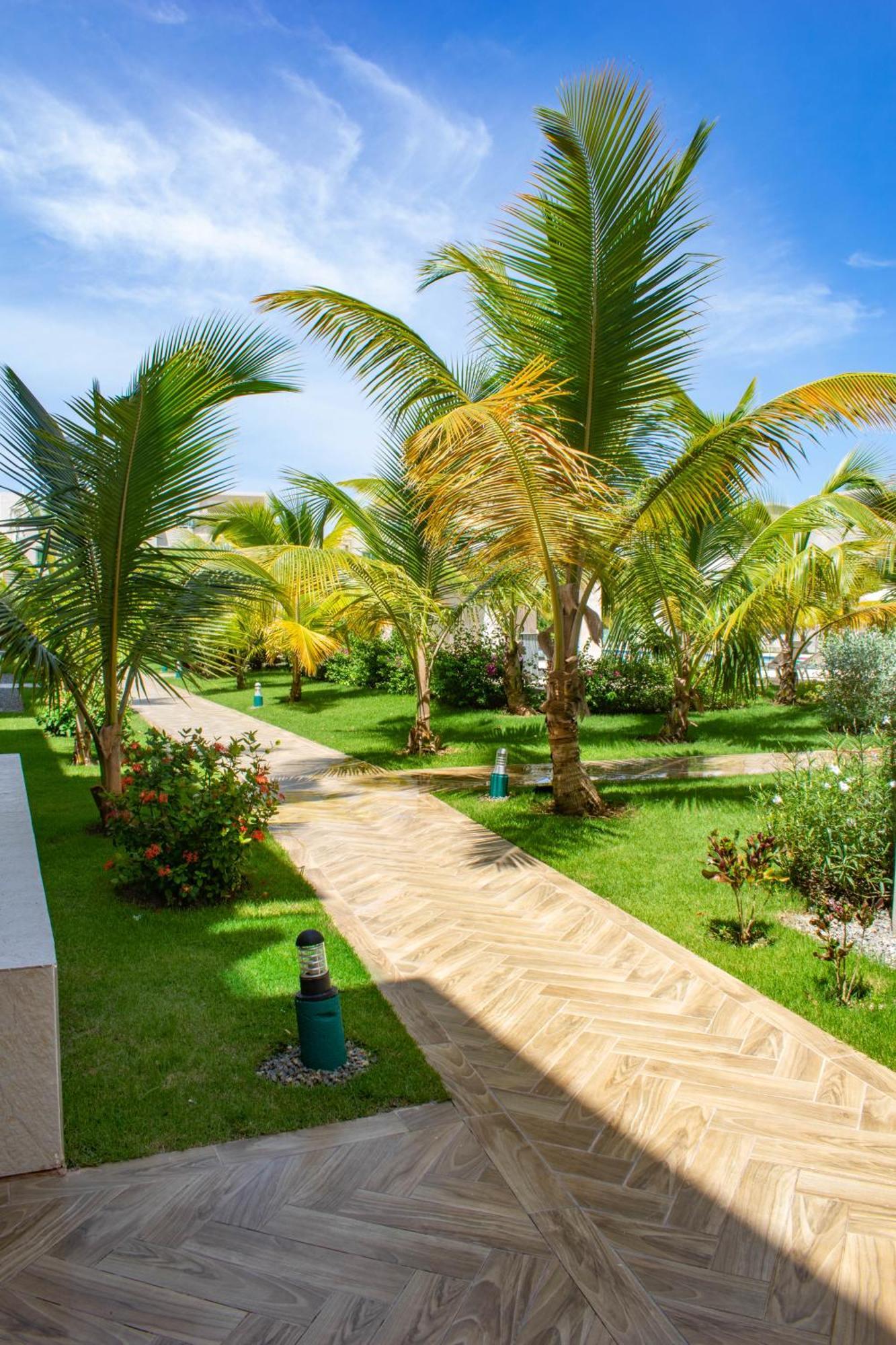 Playa Palmera Beach Resort ปุนตากานา ภายนอก รูปภาพ