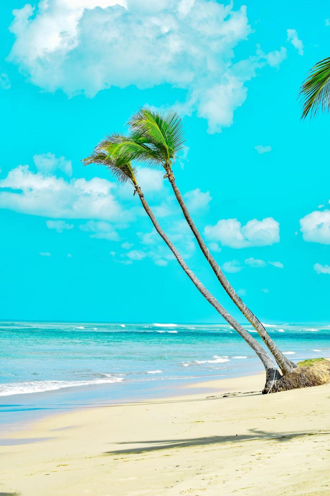 Playa Palmera Beach Resort ปุนตากานา ภายนอก รูปภาพ